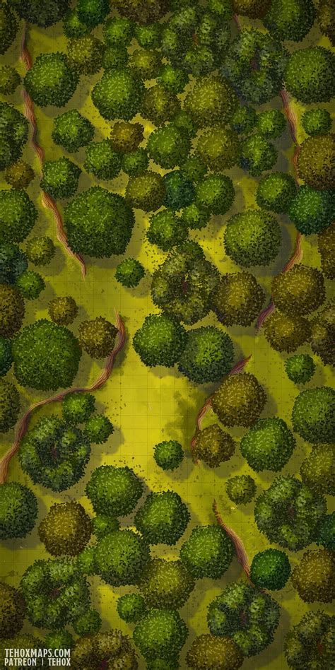 Forest Encounters 25x50 Tehox Maps Dnd World Map Fantasy World