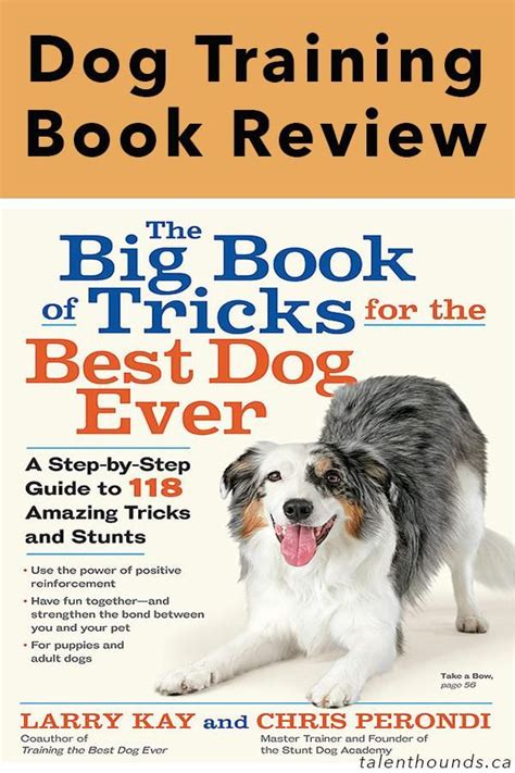 Larry Kay Big Book Of Tricks For The Best Dog Ever Review Dog