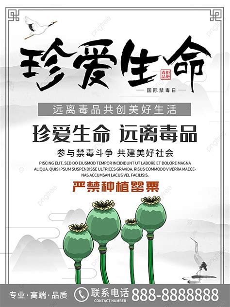 simple chinese style cherish life and stay away from drugs poster template download on pngtree