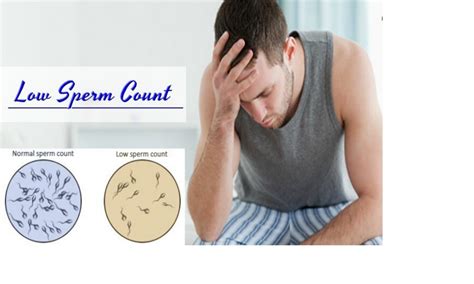 Low Sperm Count And Motility Symptoms Causes And Treatments Jelast