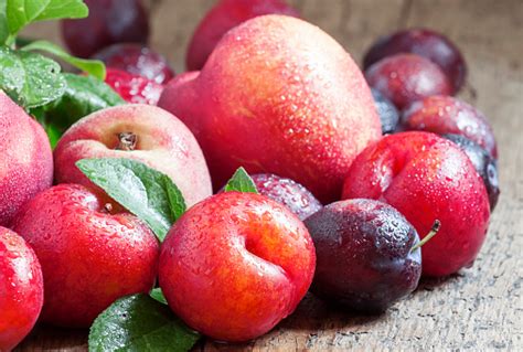 Colorful Plums And Peaches Stock Photo Download Image Now Istock