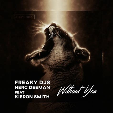 Stream Freaky Djs And Herc Deeman Ft Kieron Smith Without You