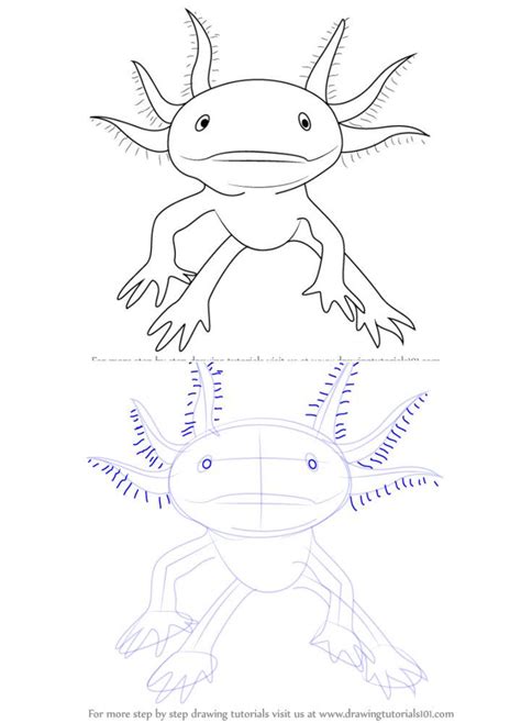How To Draw A Minecraft Axolotl Roberts Thenly