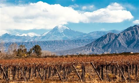 Mendoza Wines Region Discover The Argentinian Wines