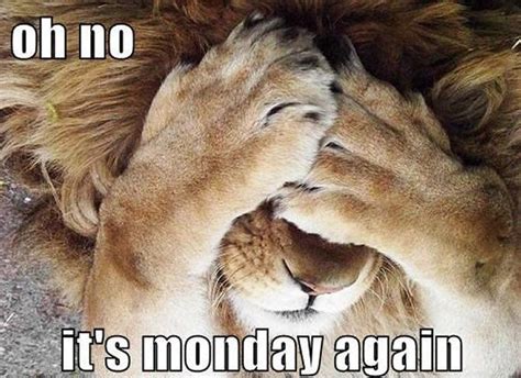 Oh No Its Monday Again Pictures Photos And Images For Facebook