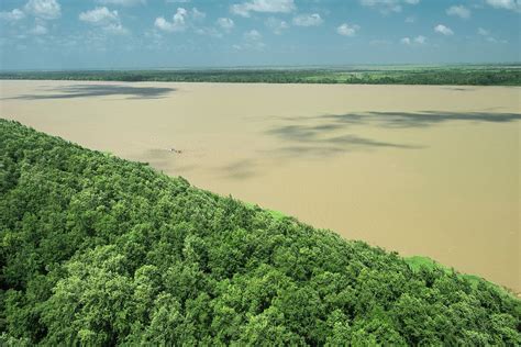 Demerara River Guyana Photograph By Pete Oxford Pixels