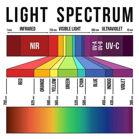 Visible Light Frequency Spectrum Chart