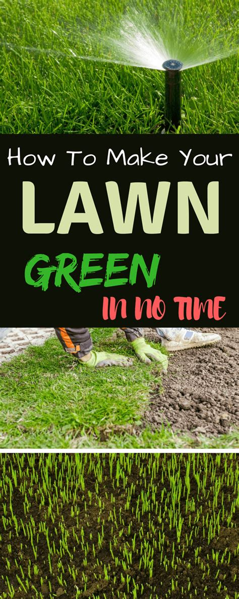 Here's the diy download for maintaining a green lawn. How To Grow Grass Fast - A Green Hand