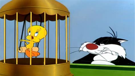 Top 100 Best Sylvester And Tweety Cartoons
