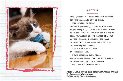 16 Poems That Were Definitely Written By Cats