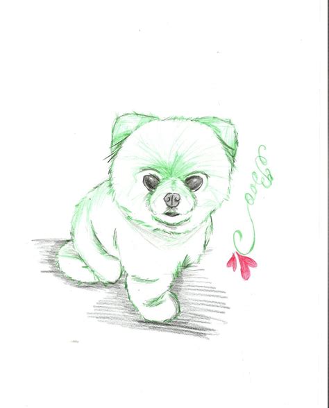 Anime Dog Drawing At Getdrawings Free Download