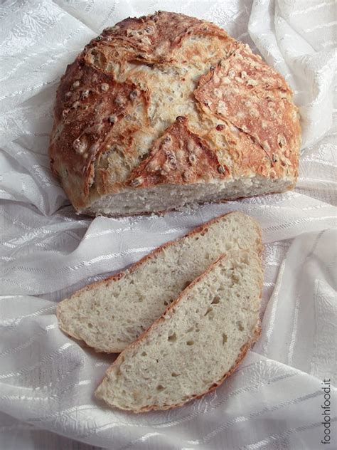 For months, we have searched and tested finally have a perfect recipe for soft, buttery chinese bakery milk bread. Bread with cooked barley - easy yeast bread with barley in the dough