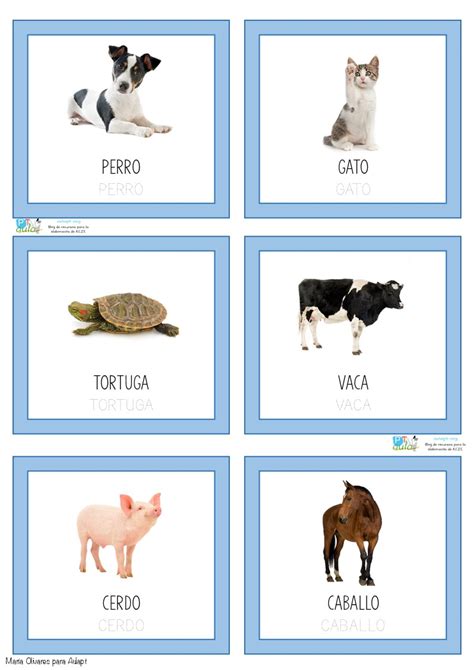 Baraja De Vocabulario Animales Domésticos Con Fotografías Reales