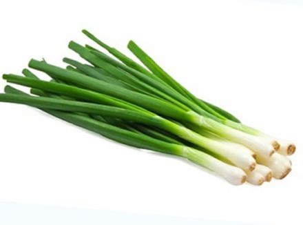 Tout sur la ciboule ou oignon vert sur Gourmetpedia
