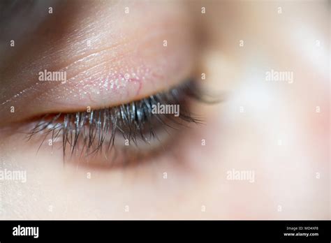 Woman With Long Eyelashes High Resolution Stock Photography And Images