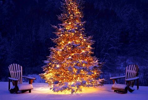 Wallpaper Christmas Tree Winter Snow Lights New Year