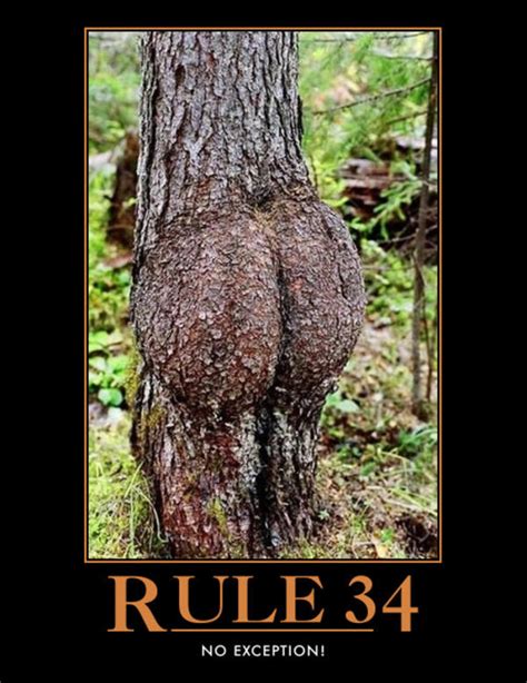 Dat Tree Rule 34 Know Your Meme