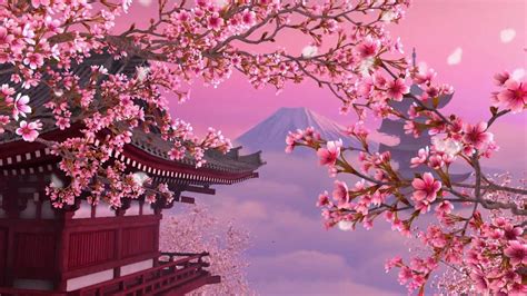 Cherry Blossom Background 1080p 1920x1080 Wallpaper
