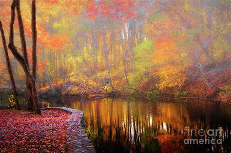 Autumn Wonderland Photograph By Mike Nellums Fine Art America