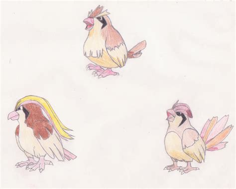 Pidgey Evolution By Koala Net On Deviantart