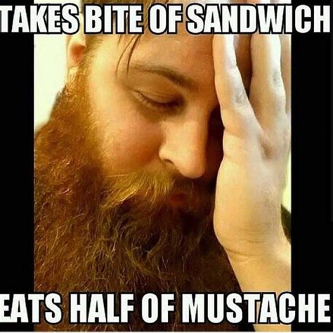 Funny Beard Meme Beard Humor Bearded Men Problems Funny Beard Memes Beard Humor Beard