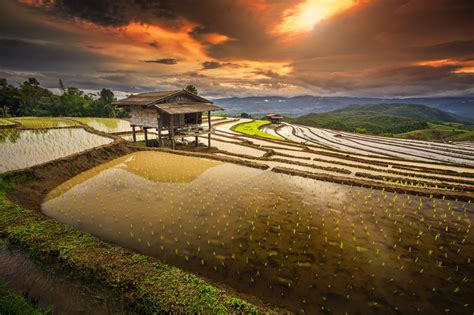 Rice Paddy Terraces Hut Water Clouds Hills Field Shrubs Thailand Nature