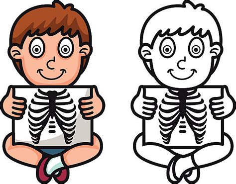 Cartoon Of X Ray For Kids Illustrations Royalty Free Vector Graphics