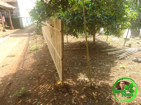Unik jaring ayam pagar kandang pagar bebek dan pagar tanaman ukuran 2 5x20m murah. Membuat Pagar Bambu di Kebun