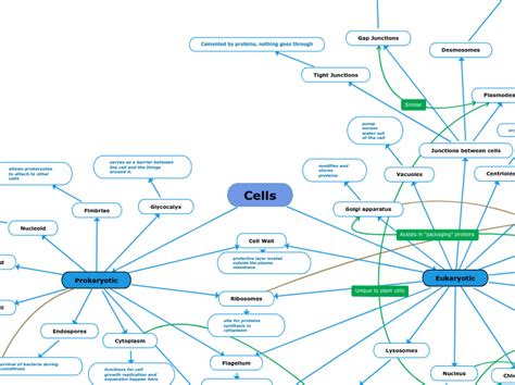 Cells Mind Map
