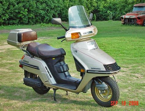 It was more commonly known as the elite 250 scooter. A proud new owner of a Honda Elite 250 | Scooter Doc Forum