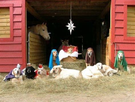 55 Nativity Scenes That Are Way Funnier Than Normal Ones