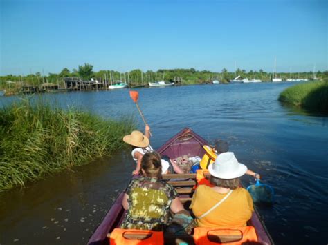 Trouvez la localisation du commerce delta fleurs à biganos sur la carte. Agenda - Activités en plein air à venir - Guide Bordeaux ...