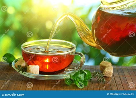 Tasse Tee Und Teekanne Stockbild Bild Von Organisch 29066469