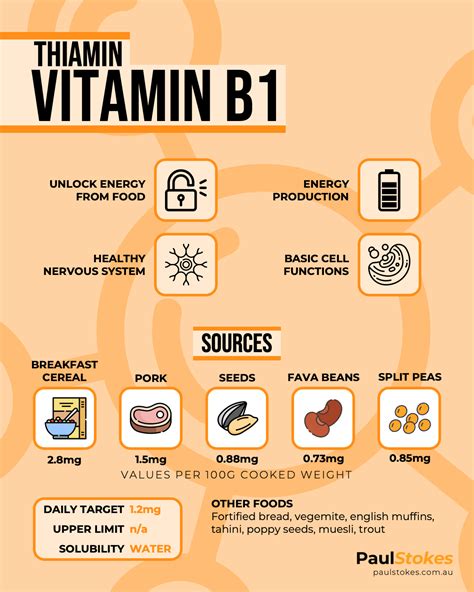 Vitamin B Thiamin Nutrient Spotlight Food Sources Intake