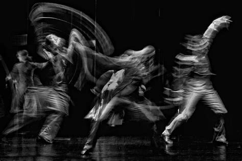 Wild Dance Photograph By Jure Kravanja Fine Art America