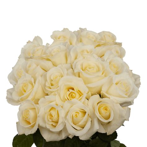 Send Xx Long Stem Wedding Roses Globalrose