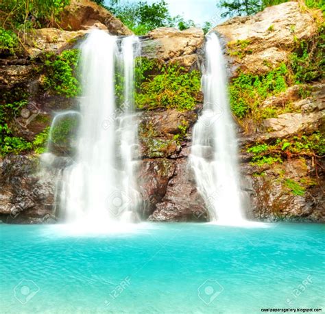 Tropical Rainforest Waterfalls Wallpapers Gallery
