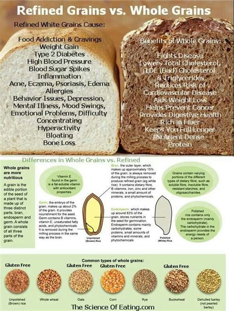 White Vs Whole Grain Foodrecipes Pinterest