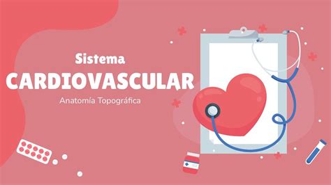 Sistema Cardiovascular Paomednotes Udocz