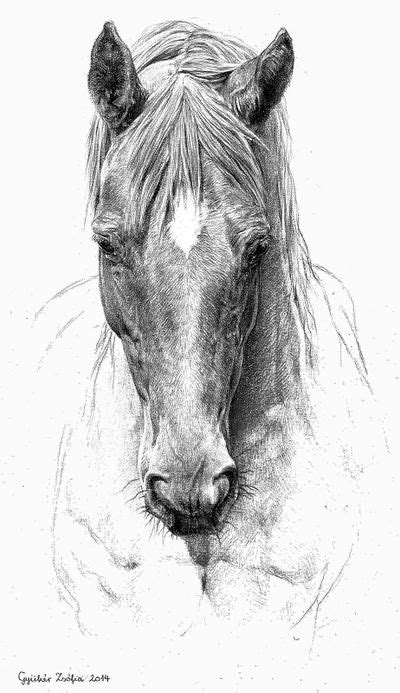 Horse Commission By Nutlu On Deviantart Horse Art Drawing Horse