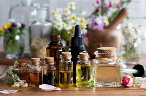 Author lindsey elmore is incredibly knowledgeable about oils and makes this information easy to understand. Are essential oils dangerous to pets? | Tufts Now