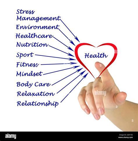 Diagram Of Health Stock Photo Alamy