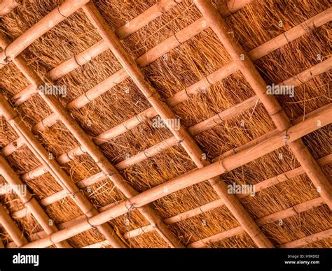 Detail Of Thatched Roof Of Bamboo And Straw Stock Photo Alamy