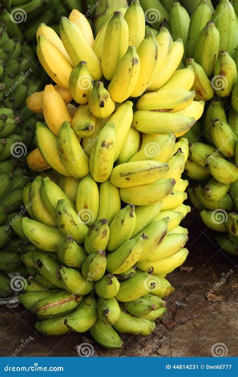 Big Bunch Of Bananas Stock Photo Image 44814231