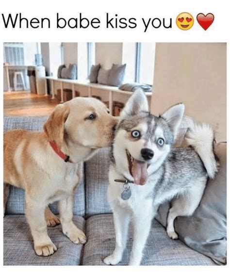 🔥 25 Best Memes About Babes Kissing Babes Kissing Memes