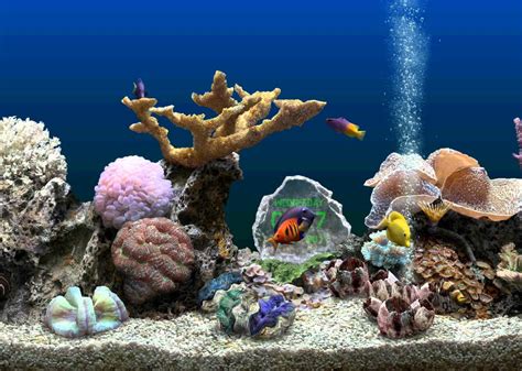 Serenescreen Marine Aquarium 3d Youtube