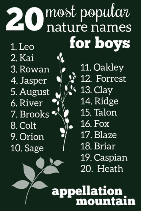 Nature Boy Names And Meanings
