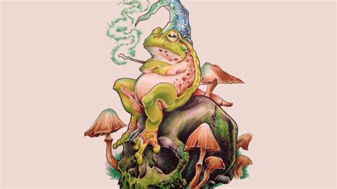 Frog Wizard 1920 X 1080 Wallpapers