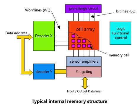 Diagram Human Memory Diagram Mydiagramonline