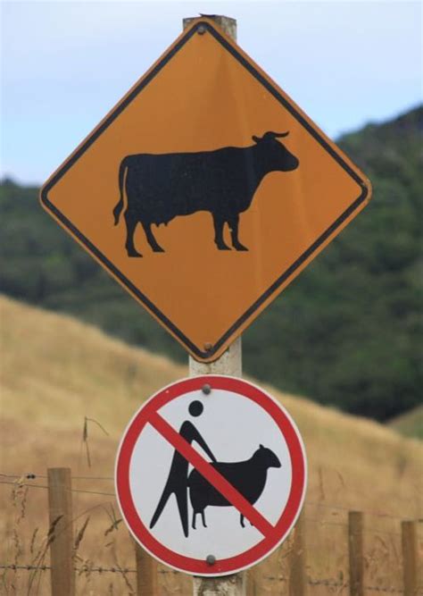 Funny Road Signs Part 2 30 Pics